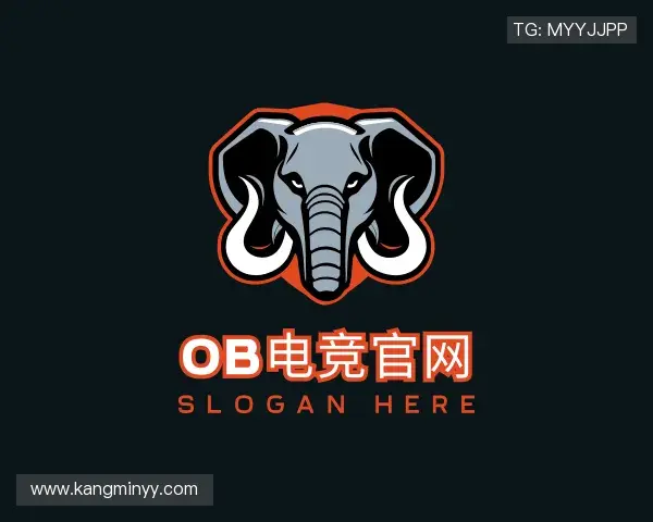解读OB电竞